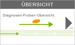 Übersicht