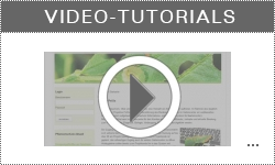 Video-Tutorial